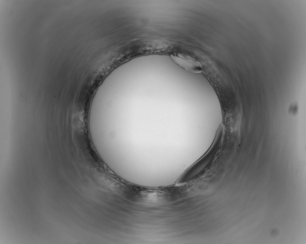 X0000090750564200708172030