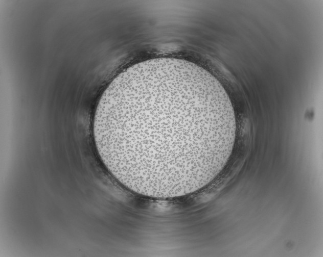X0000090750565200708172030