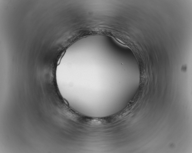 X0000090750566200708172030