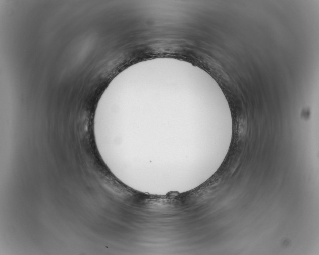X0000090750567200708172030