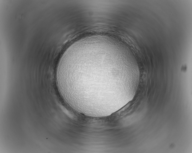 X0000090750568200708172030