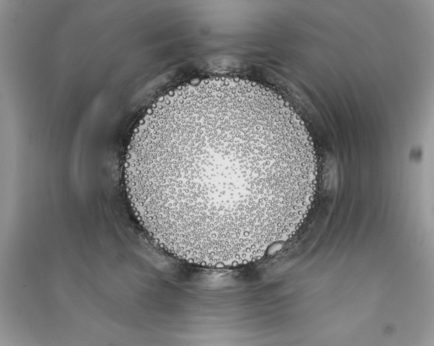 X0000090750569200708172030
