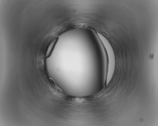 X0000090750570200708172030