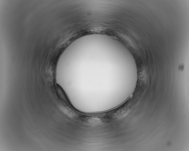 X0000090750572200708172030