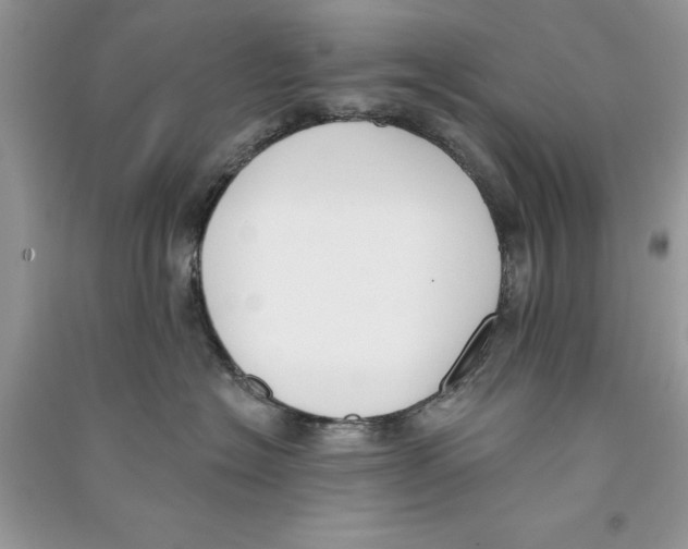 X0000090750574200708172030