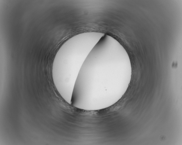 X0000090750576200708172030