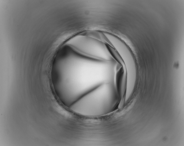 X0000090750577200708172029