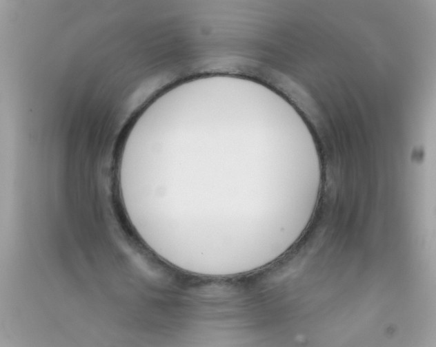 X0000090750578200708172029