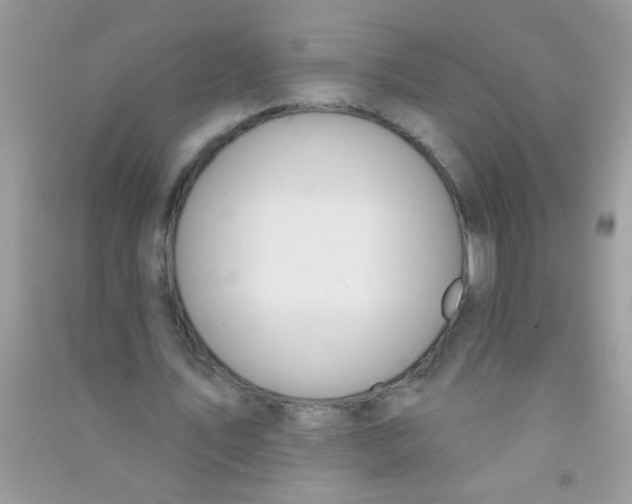X0000090750579200708172029