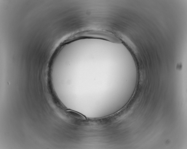 X0000090750580200708172029