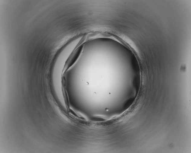 X0000090750581200708172029