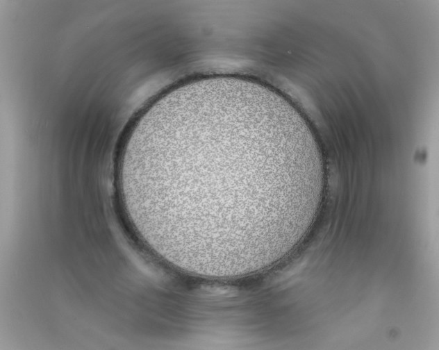 X0000090750582200708172029