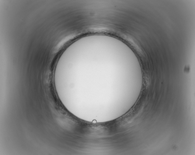 X0000090750583200708172029