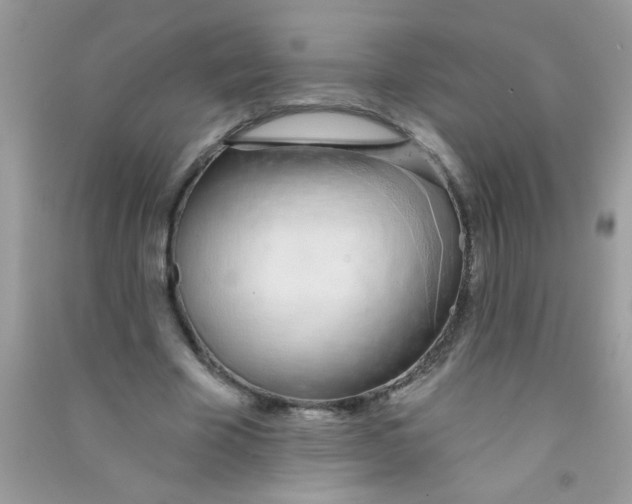 X0000090750585200708172029