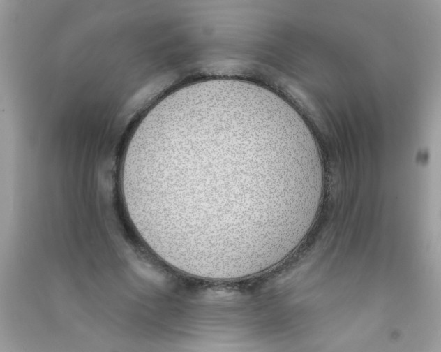 X0000090750586200708172029