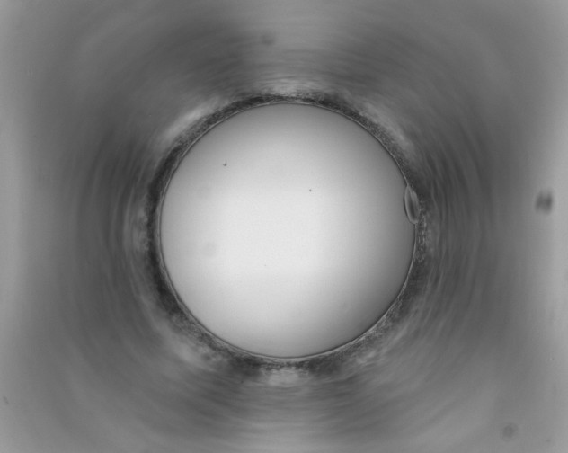 X0000090750587200708172029