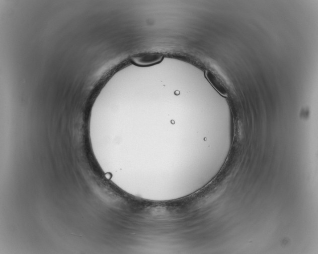 X0000090750588200708172029