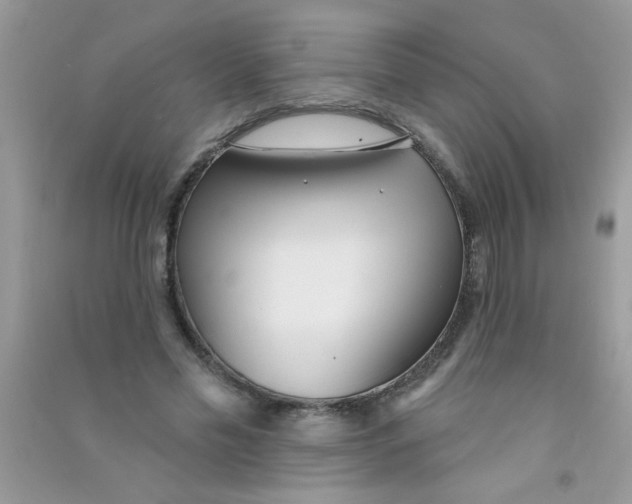 X0000090750589200708172029