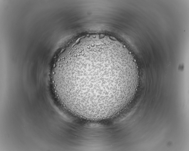 X0000090750590200708172029