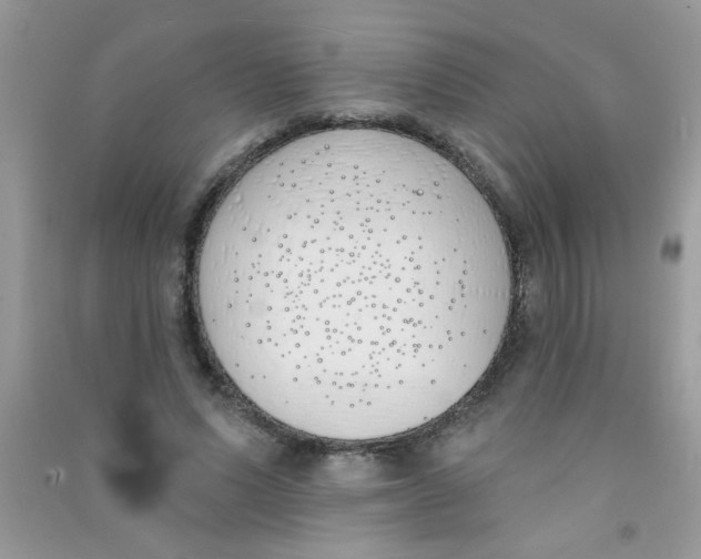 X0000090750591200708172029