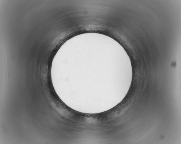 X0000090750592200708172029
