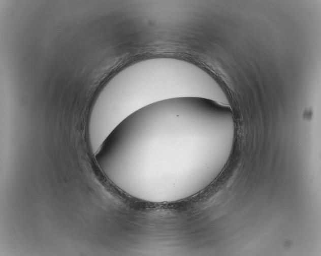X0000090750593200708172029