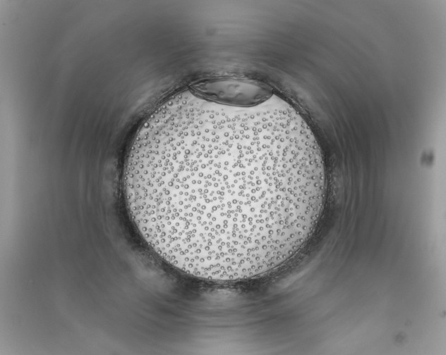 X0000090750594200708172029