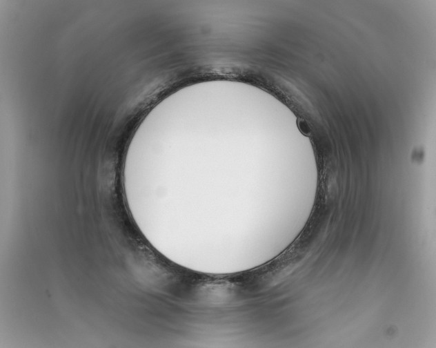 X0000090750595200708172029