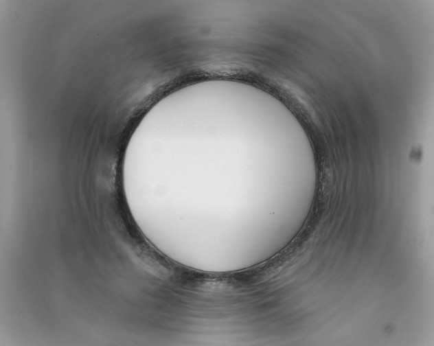 X0000090750596200708172029