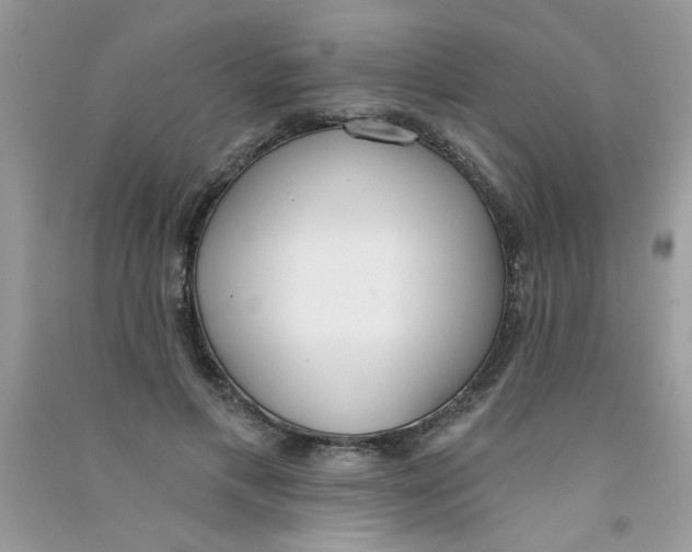 X0000090750597200708172029