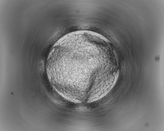 X0000090750598200708172029
