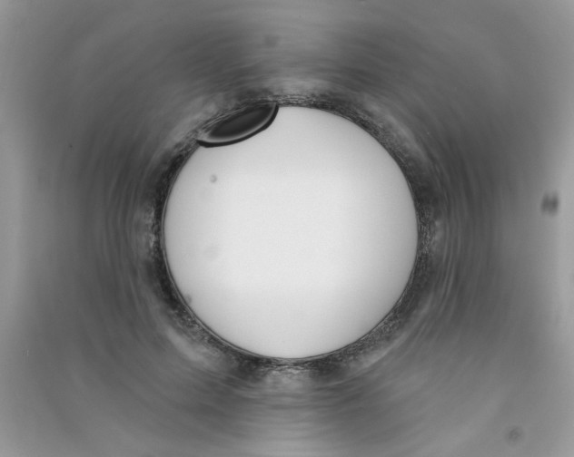 X0000090750599200708172029
