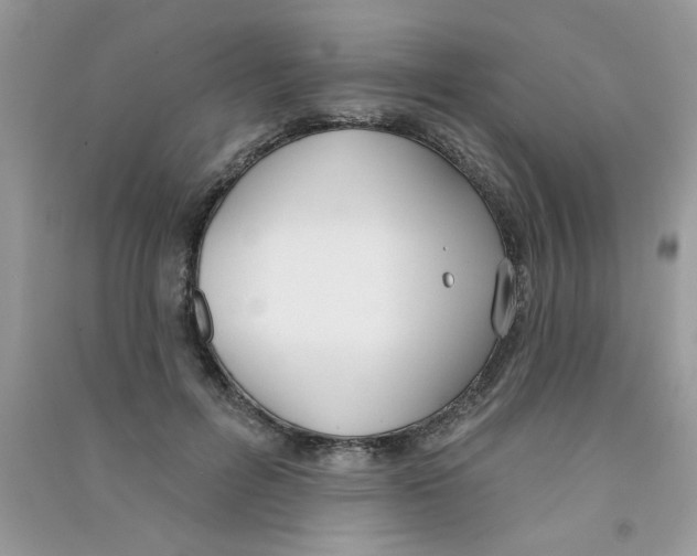 X0000090750600200708172029