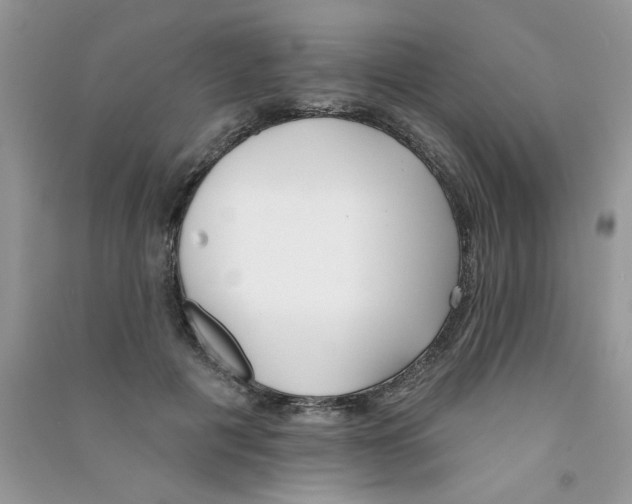 X0000090750601200708172029