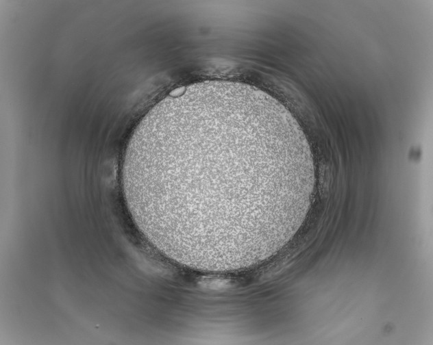 X0000090750602200708172029