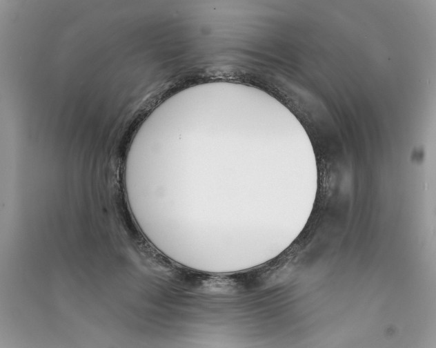 X0000090750603200708172029