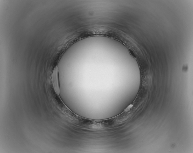 X0000090750604200708172029