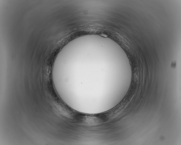 X0000090750605200708172029