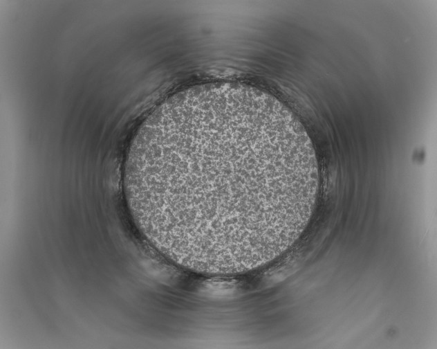 X0000090750606200708172029