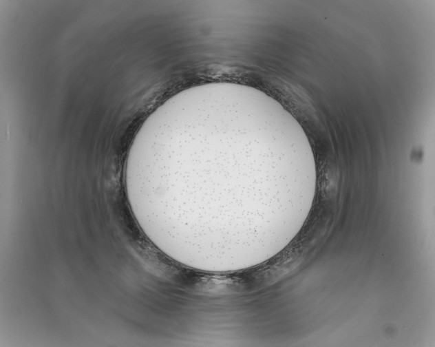 X0000090750607200708172029