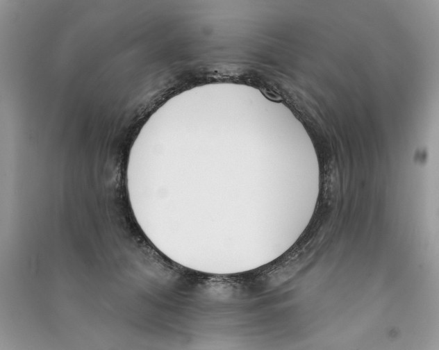 X0000090750608200708172029