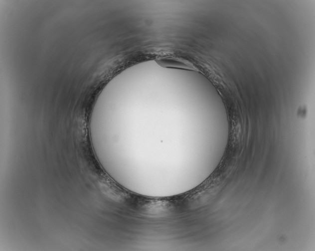 X0000090750609200708172029