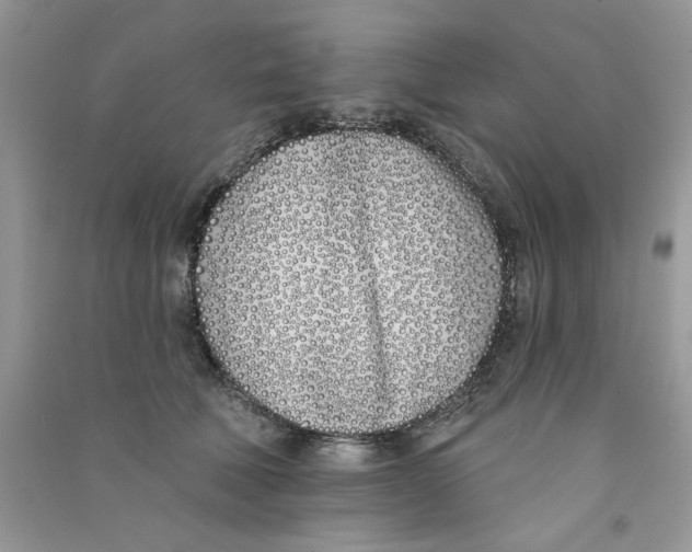X0000090750610200708172029