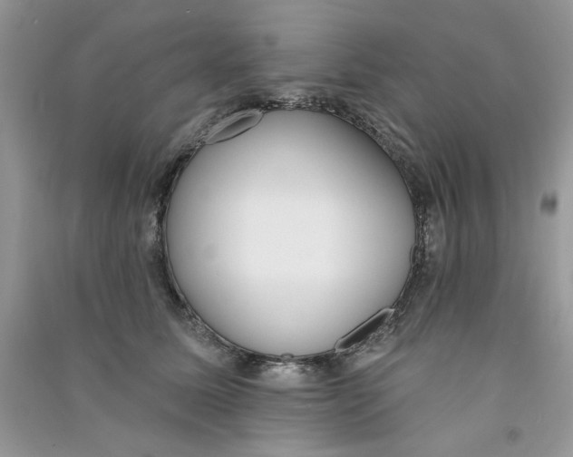 X0000090750611200708172029