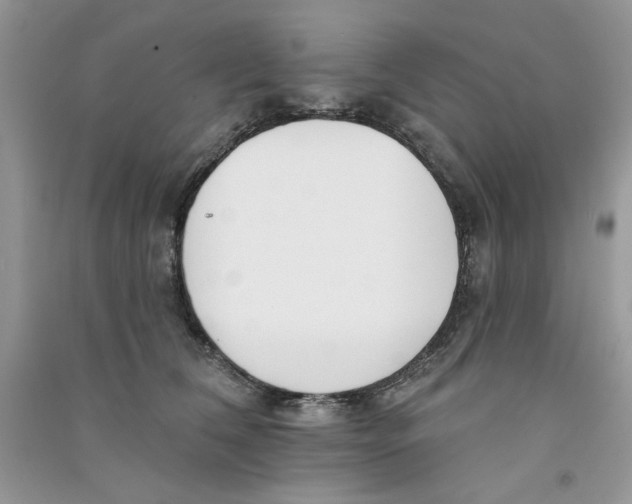 X0000090750612200708172029