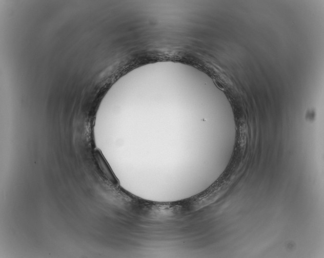 X0000090750613200708172029