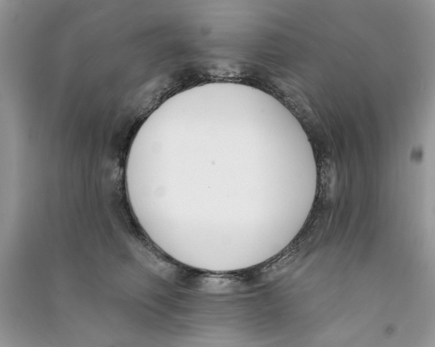 X0000090750614200708172029