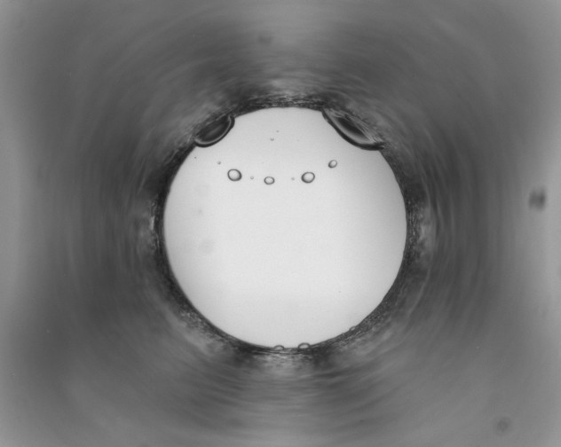 X0000090750615200708172029