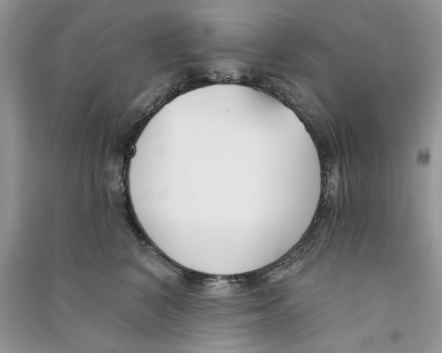 X0000090750616200708172029