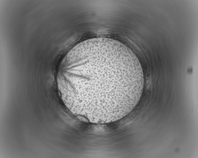 X0000090750618200708172029